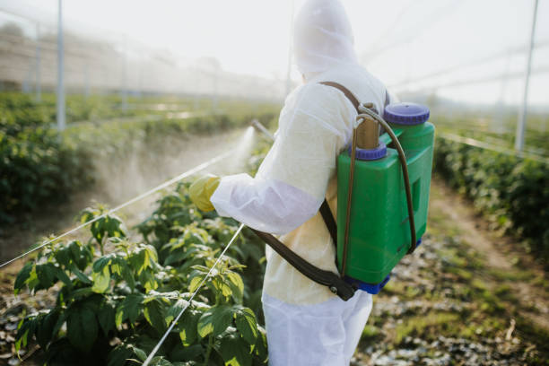 Best Wildlife Control Services  in National City, CA